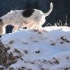 ruhpolding03 089.jpg